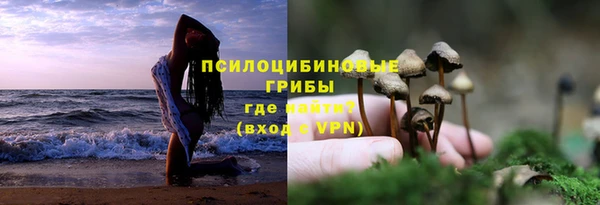a pvp Нея